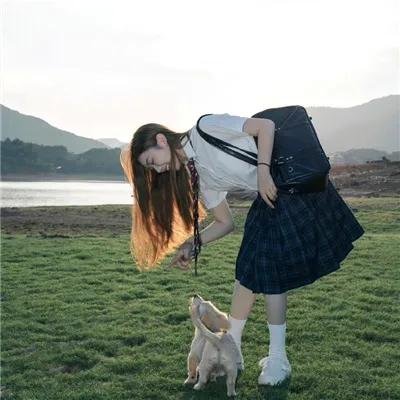 狐蝠