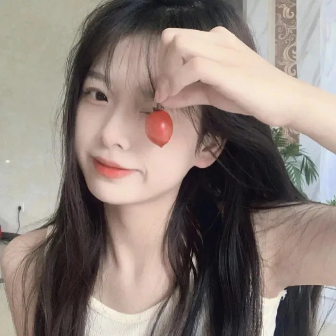 汽车女窃贼